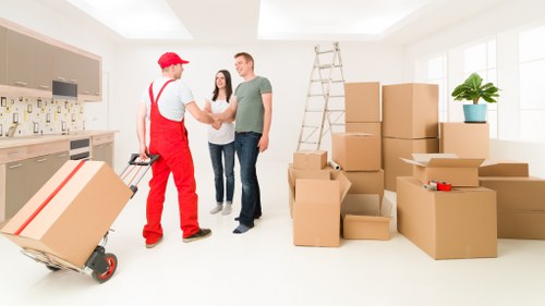 Storage-ready packing boxes for long-term protection in Claphamcommon