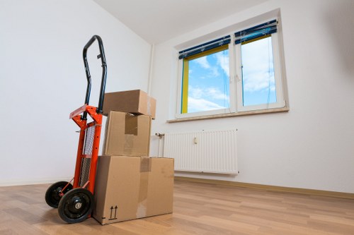 Local man and van in Clapham Common handling furniture and boxes